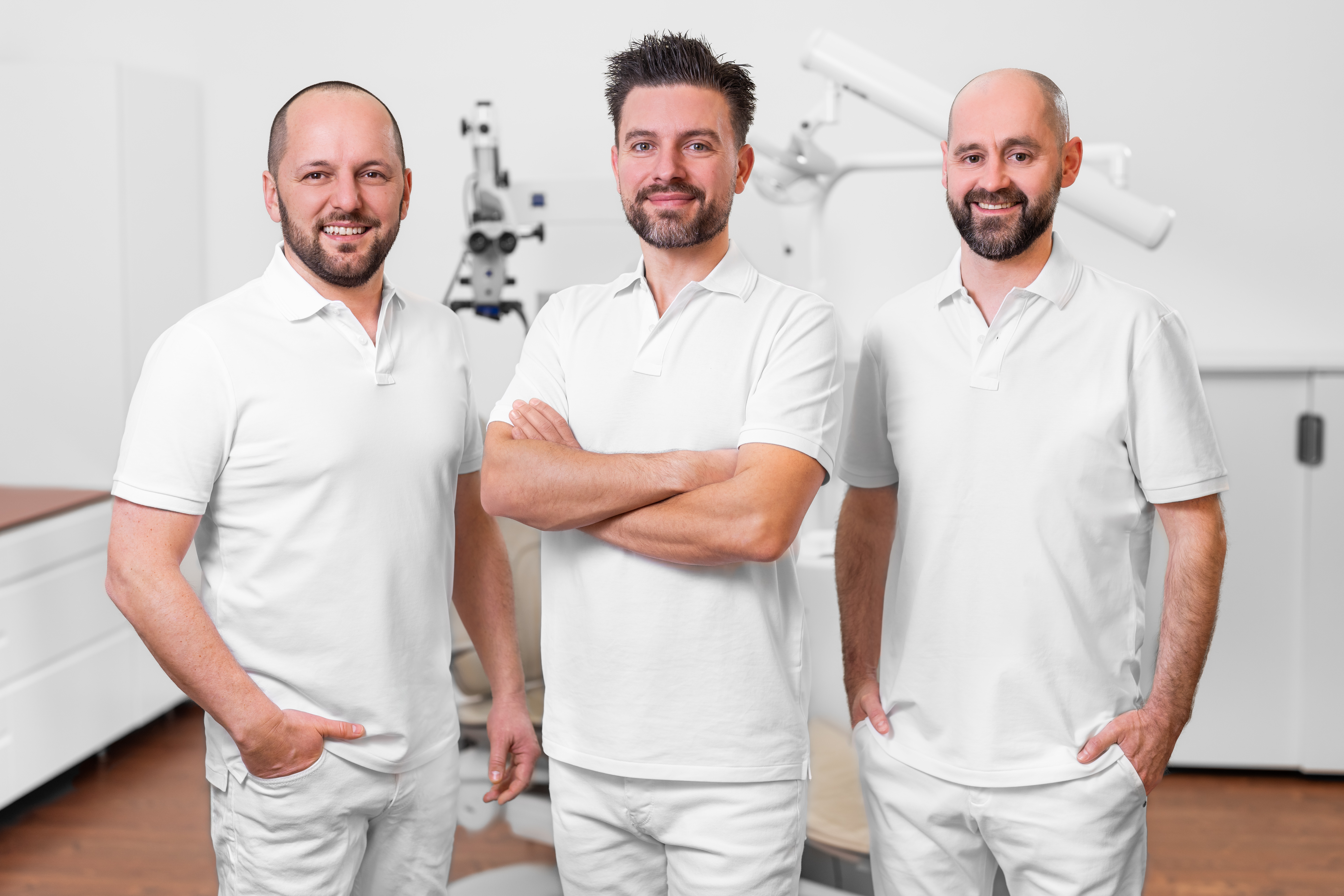 DDr. Bledar Lilaj, M.Sc., DDr. Rinet Dauti, Dr. Gernot Hönigl